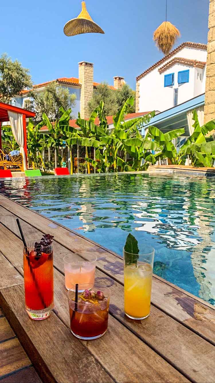 Günlük Havuz ve Tesis İmkanları Kullanımı - Görsel 8